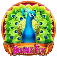 Double Fly screenshot